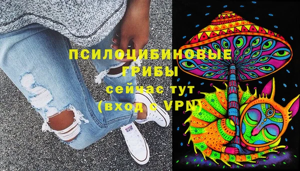герыч Абаза