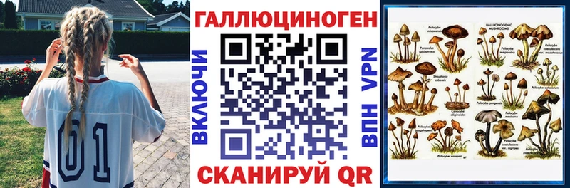 Галлюциногенные грибы Psilocybine cubensis  Вологда 