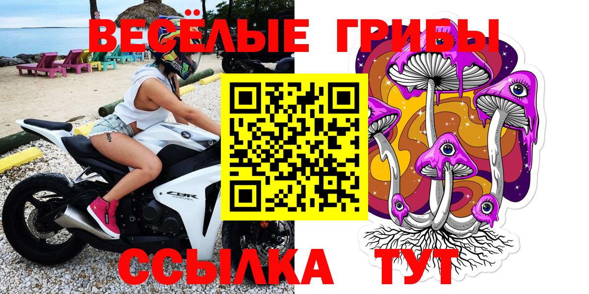 Вологда  Псилоцибиновые грибы Psilocybine cubensis  Вход с VPN 