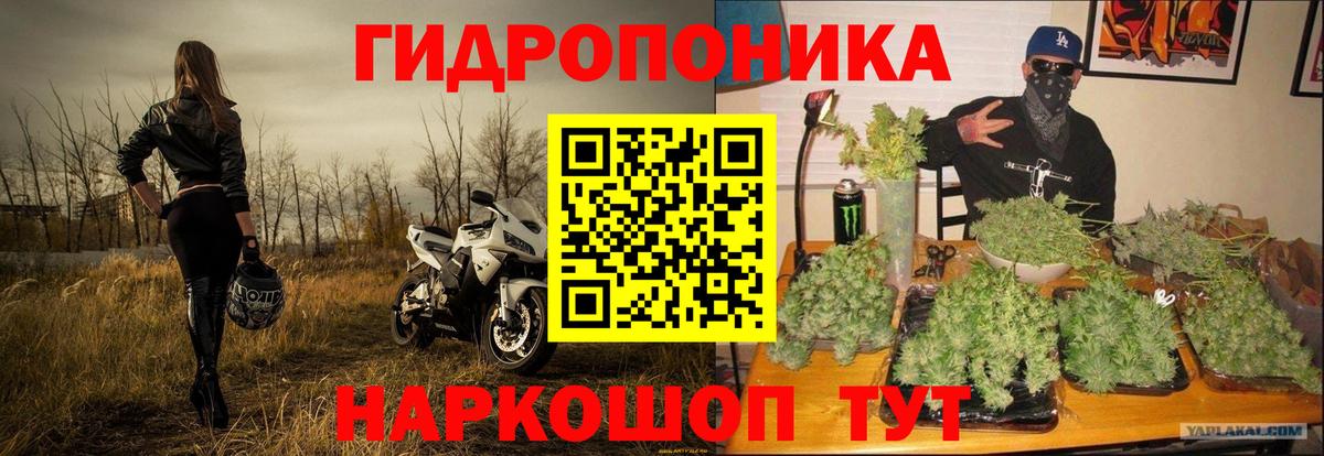 Бошки Шишки AK-47  Вход с VPN  Вологда  Бошки Шишки SATIVA & INDICA 